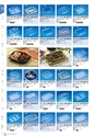 RISUPACK TOTAL CATALOG 2016