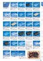RISUPACK TOTAL CATALOG 2016