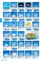 RISUPACK TOTAL CATALOG 2017